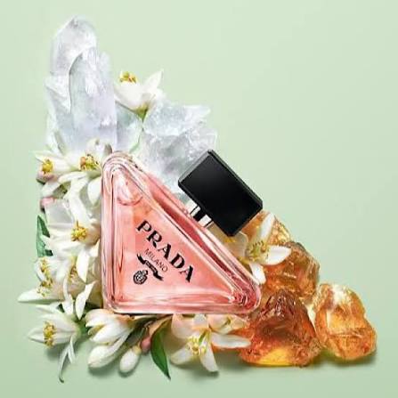 Prada paradoxe